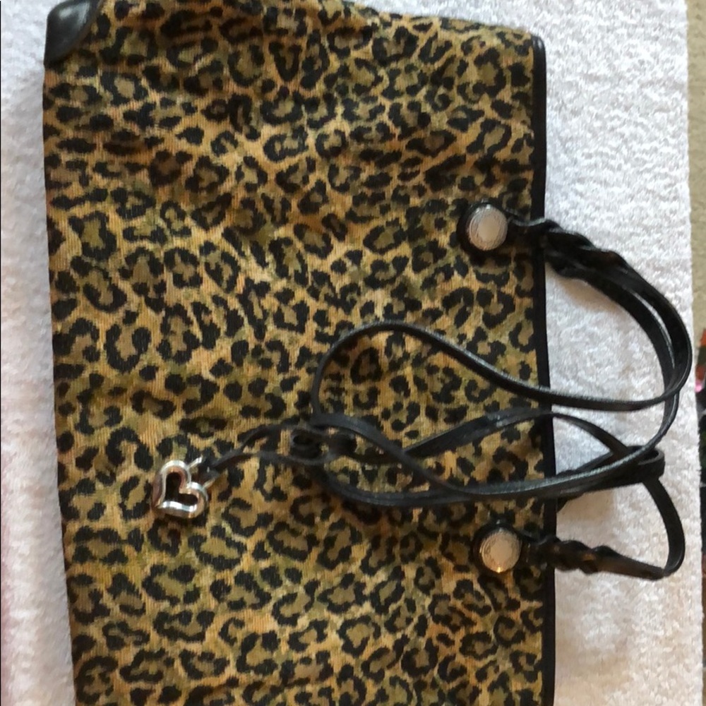 Brighton should bag leopard print